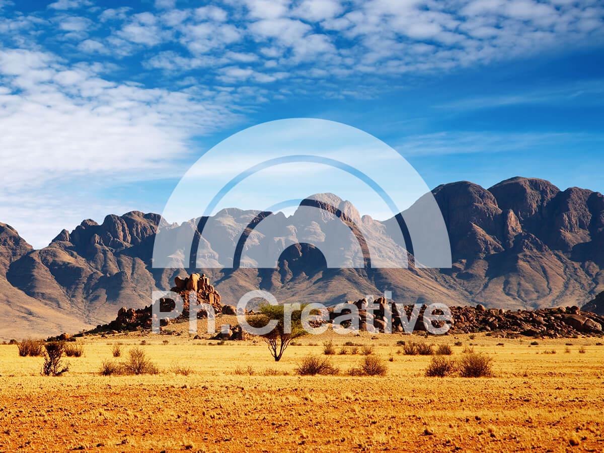 Desert